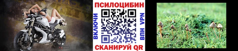 Галлюциногенные грибы GOLDEN TEACHER  цена наркотик  Харабали 